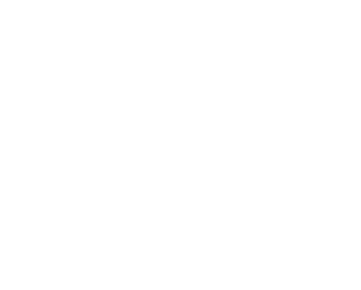 Shapes